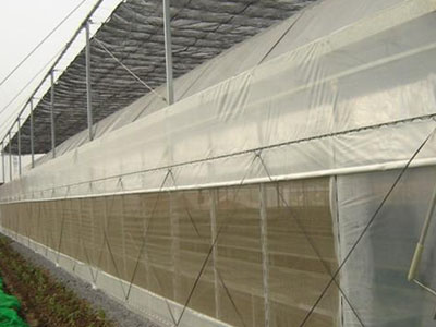 大棚防虫网
