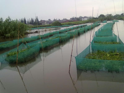 水产养殖网