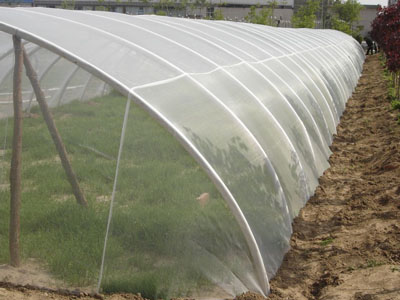 塑料防虫网